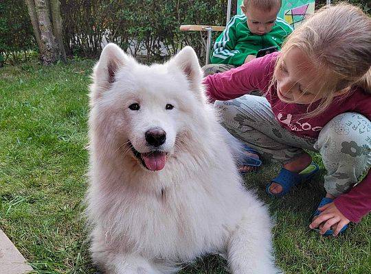 Zajęcia z animatorem Łeba Chomiczówka